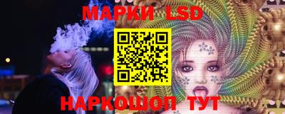 кокс Гатчина