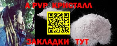кокс Гатчина