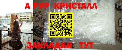 кокс Гатчина