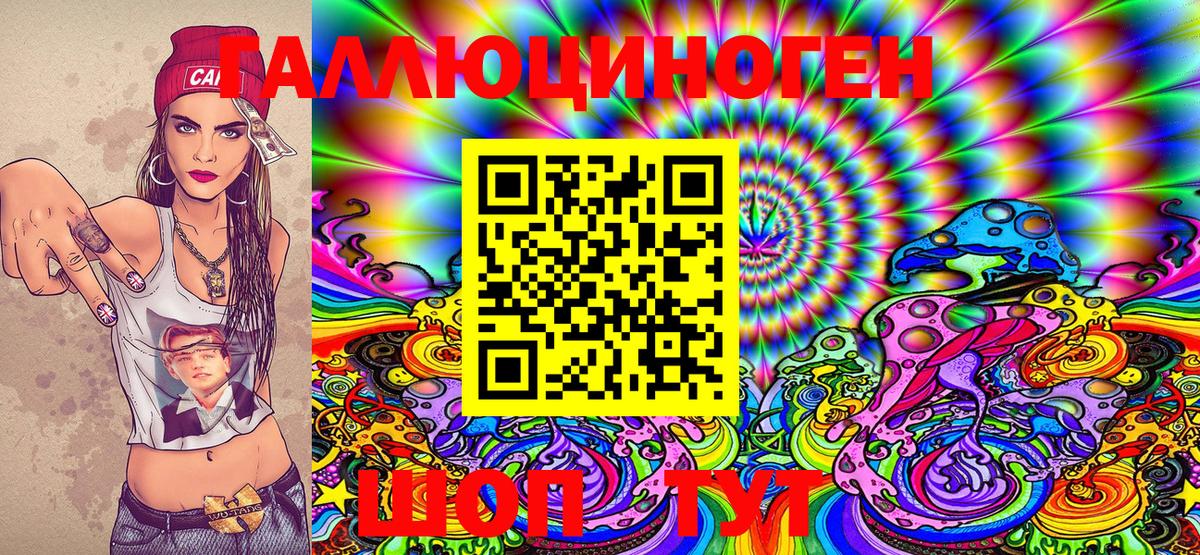 Галлюциногенные грибы Psilocybine cubensis  Сунжа 