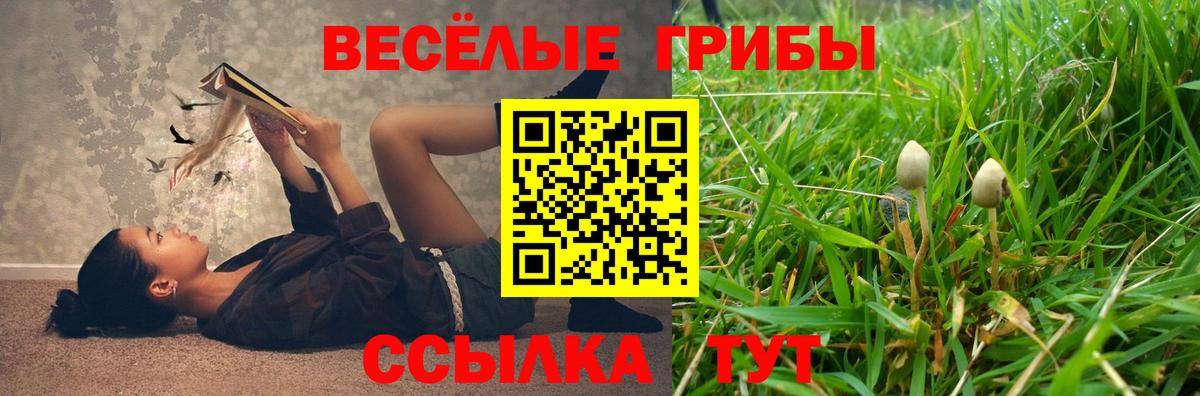 Псилоцибиновые грибы ЛСД  Вход с VPN  Сунжа 