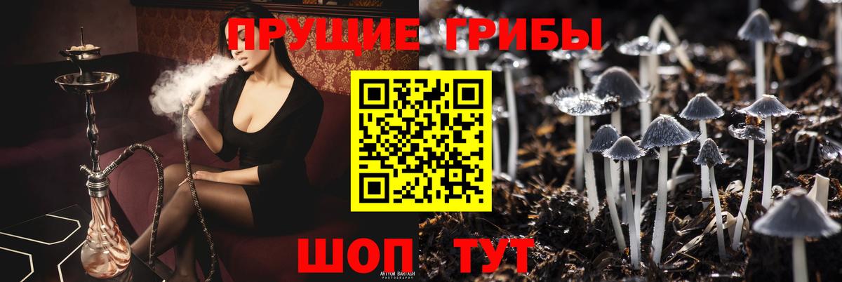 Псилоцибиновые грибы Magic Shrooms Сунжа