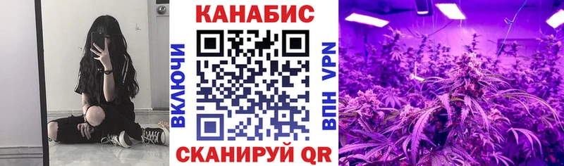 закладки  Сунжа  Каннабис план 